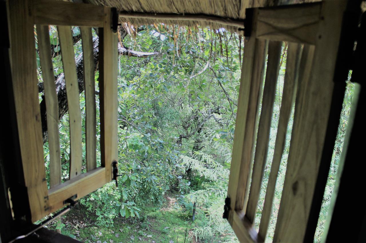 Villa Wildescape Polonnaruwa Exterior foto